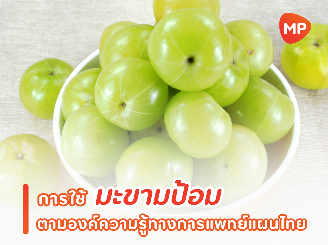 Images/Blog/2kap04XS-ma kham pom.png